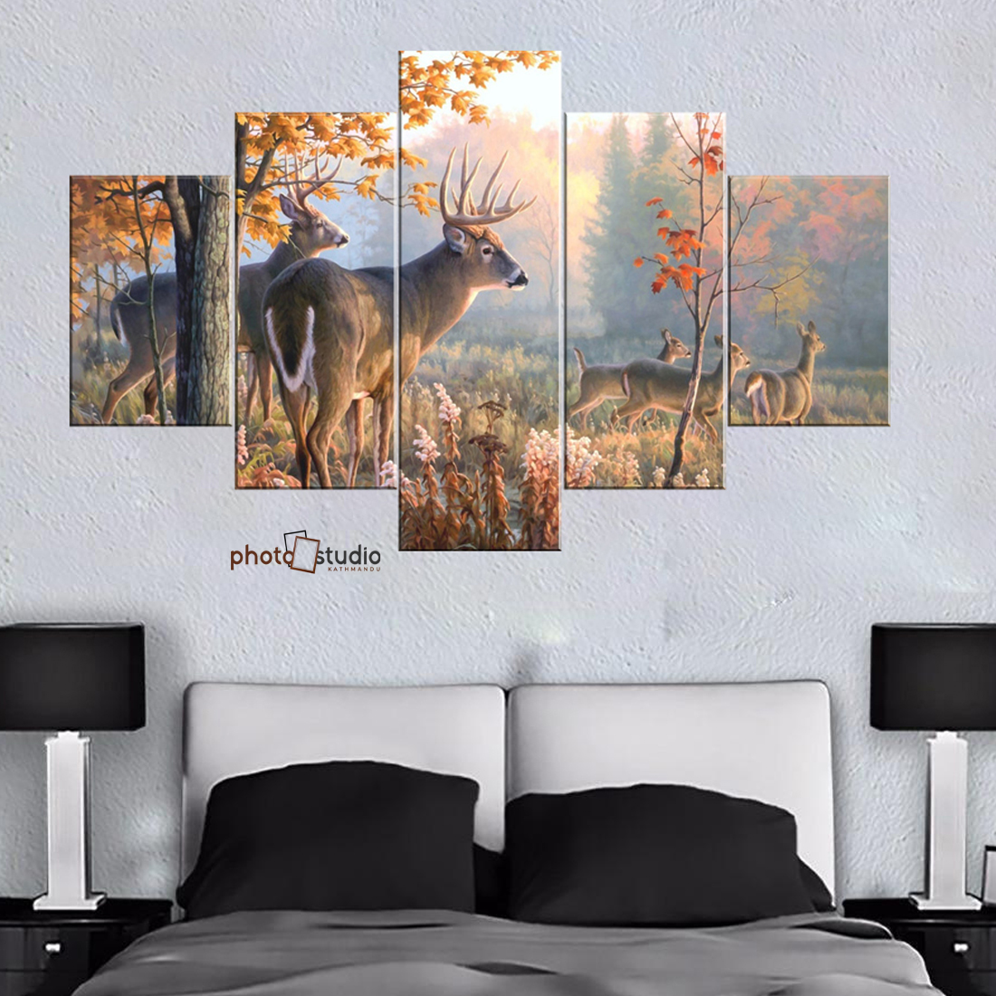 Animal Canvas Prints